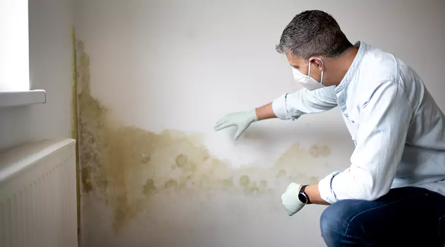 Musty Odors After Water Damage: Why They Linger and How Deodorization Works