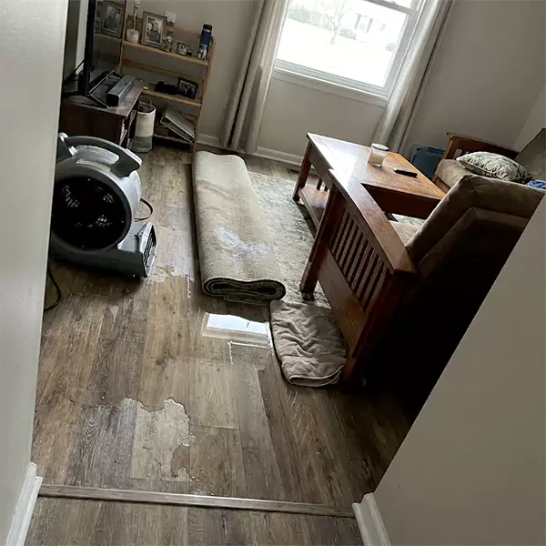 Water Restoration in Plano, TX