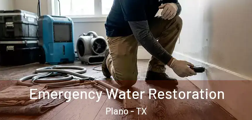  Emergency Water Restoration Plano - TX