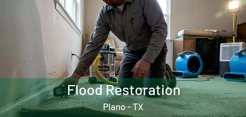  Flood Restoration Plano - TX
