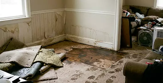 Why Choose Plano Water Restoration For Water Damage Restoration Services in Plano, TX?