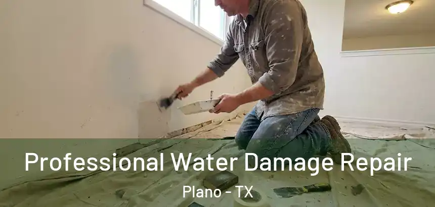  Professional Water Damage Repair Plano - TX
