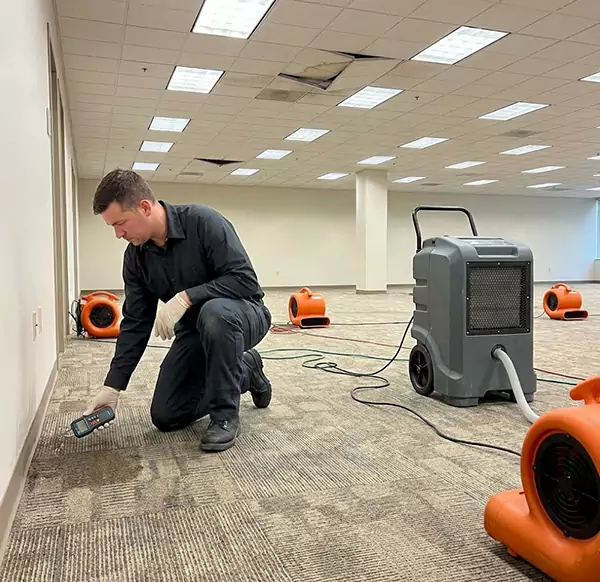 Why Businesses Choose Plano Water Restoration for Commercial Water Damage in Plano, TX?